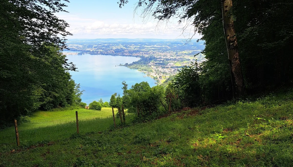 Stille Pfade am Pfänder 3 | © Dav-FN / C. Hatger