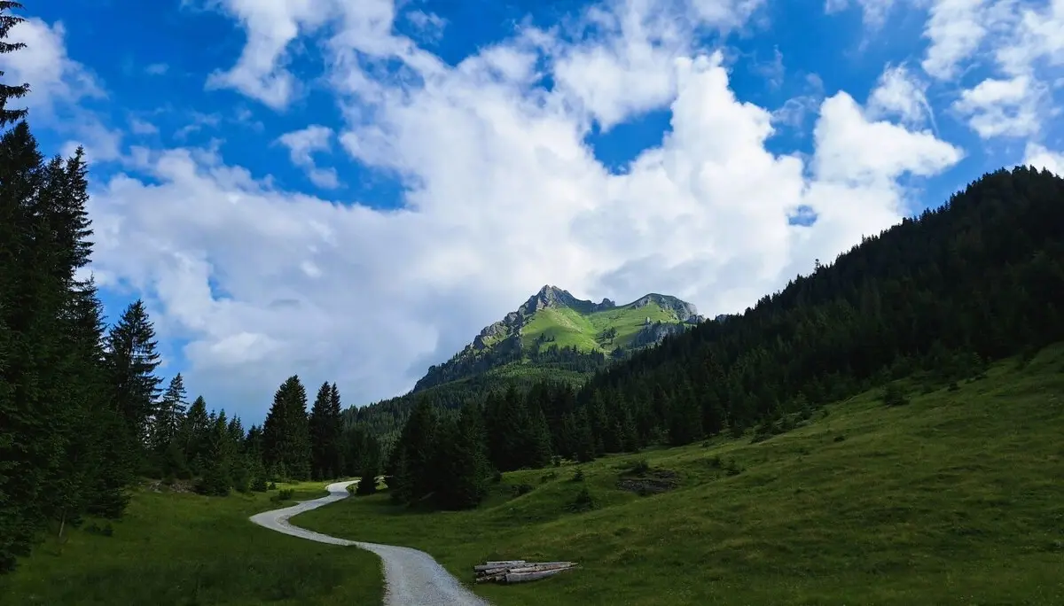 Eine weg durch Wiesen und Wälder im Hintergrund der Aggenstein | © DAV-FN / Karin B., Silke S., Robert H.