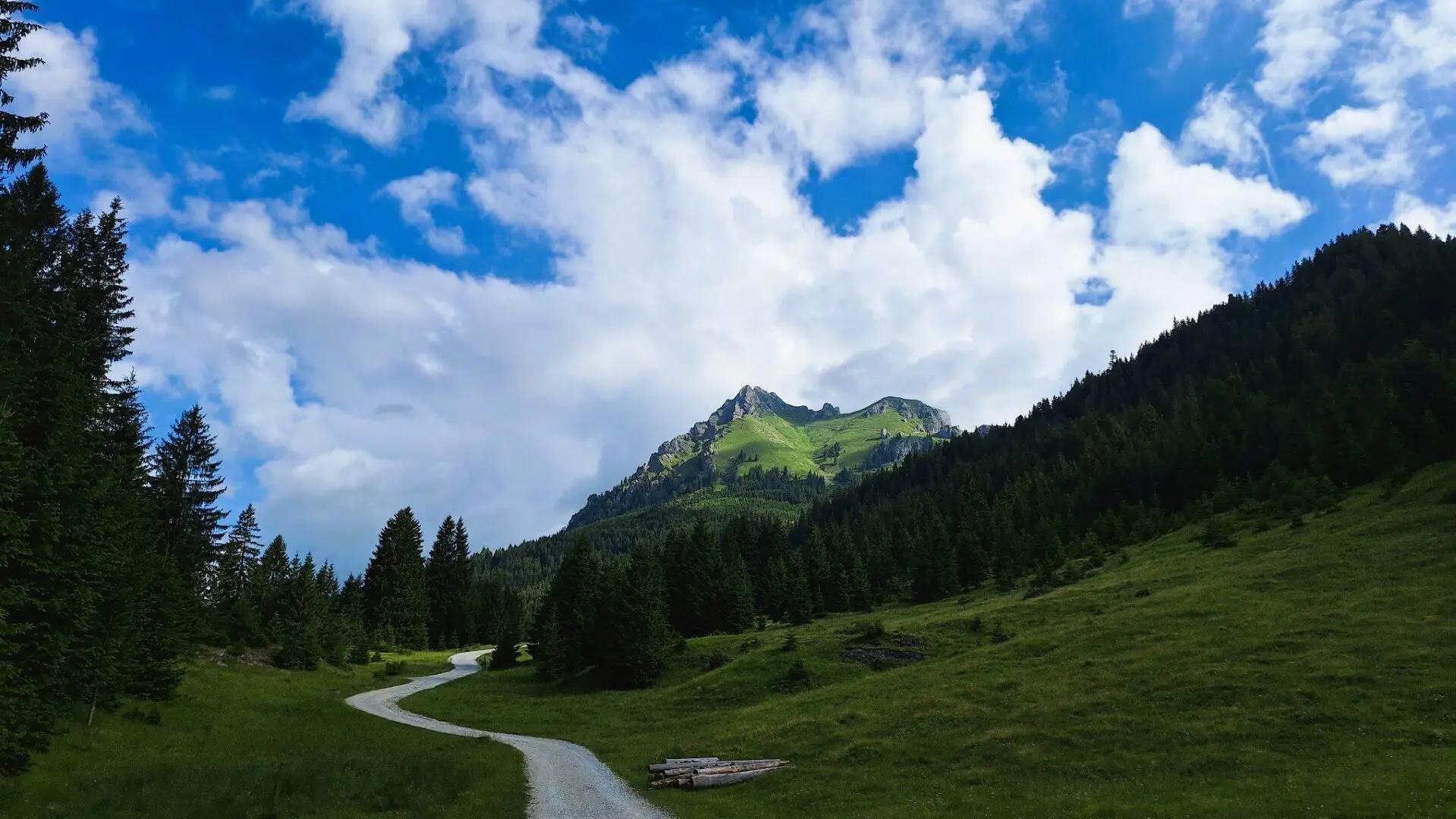 Eine weg durch Wiesen und Wälder im Hintergrund der Aggenstein | © DAV-FN / Karin B., Silke S., Robert H.