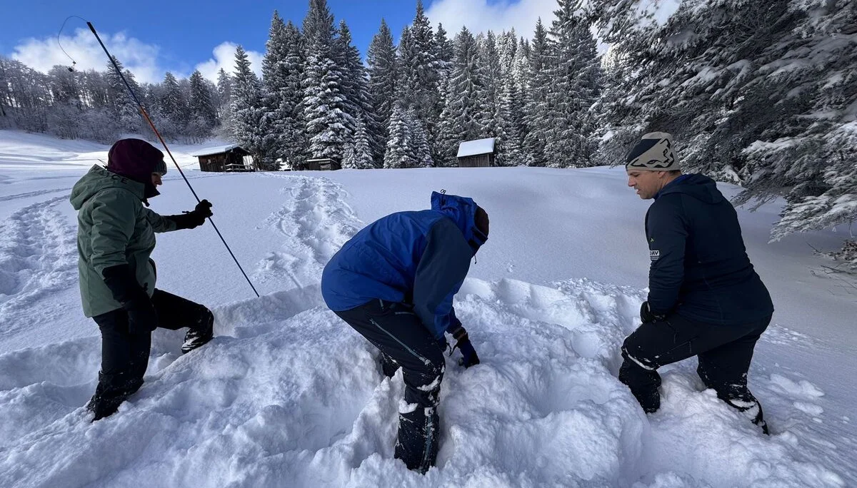 Drei Personen in Winterkleidung üben im Schnee auf einer Lichtung zwischen verschneiten Tannen die Lawinnenverschüttetensuche | © DAV-FN / Th. Gläser