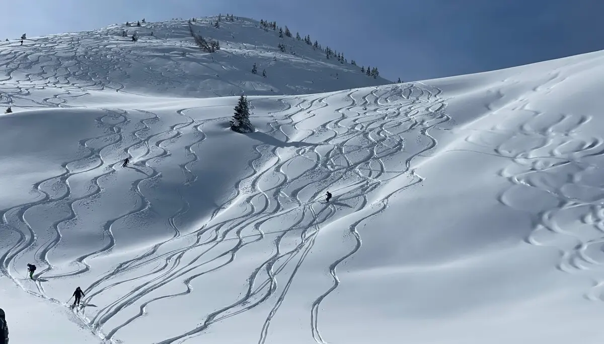 Schneebedeckter Hang mit mehreren geschwungenen Skispuren und einzelnen Bäumen unter blauem Himmel | © DAV-FN / C. + C. Ritter