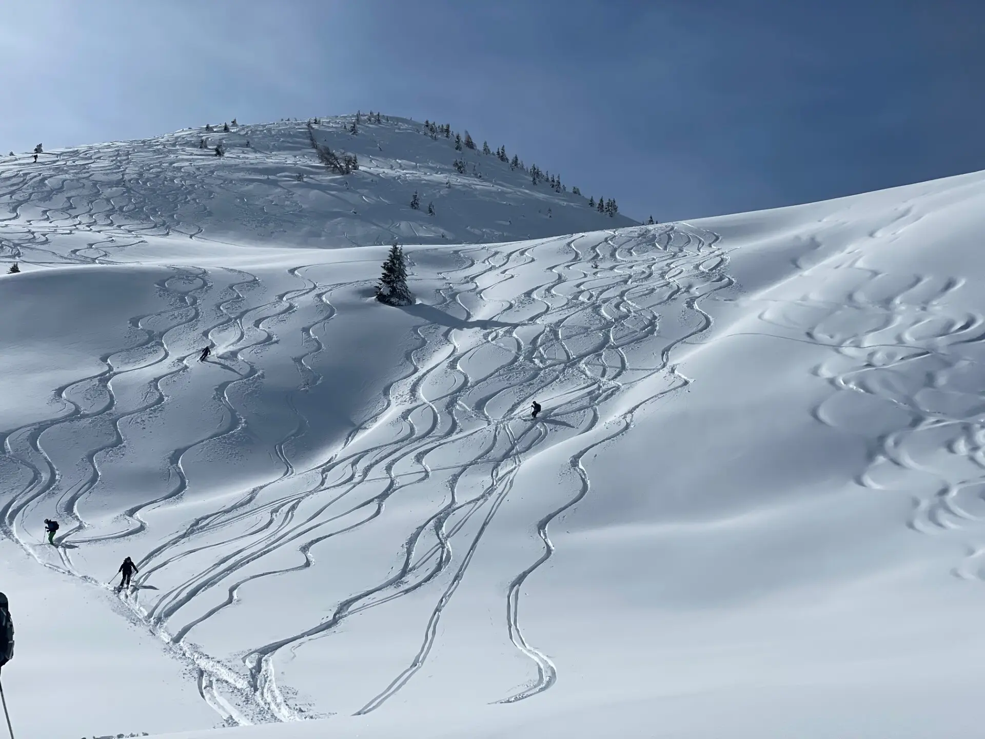Schneebedeckter Hang mit mehreren geschwungenen Skispuren und einzelnen Bäumen unter blauem Himmel | © DAV-FN / C. + C. Ritter