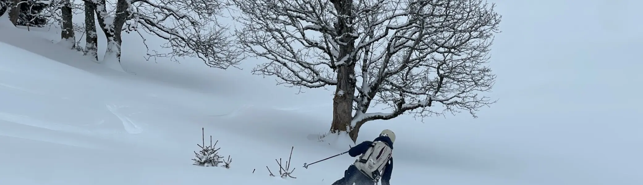 Skifahrer fährt in verschneiter Landschaft an kahlen Bäumen und Holzhütten vorbei | © DAV-FN / C. + C. Ritter