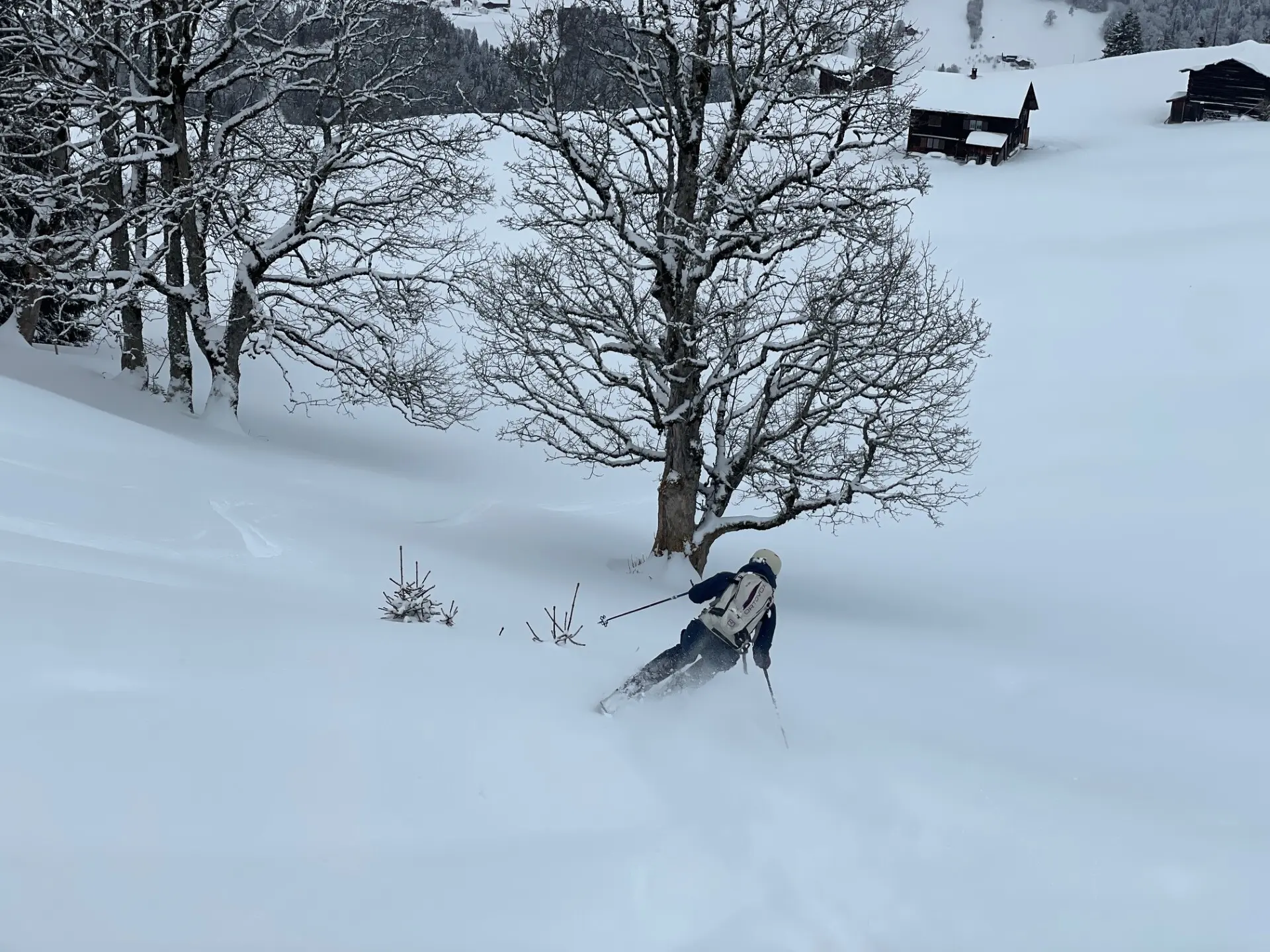 Skifahrer fährt in verschneiter Landschaft an kahlen Bäumen und Holzhütten vorbei | © DAV-FN / C. + C. Ritter