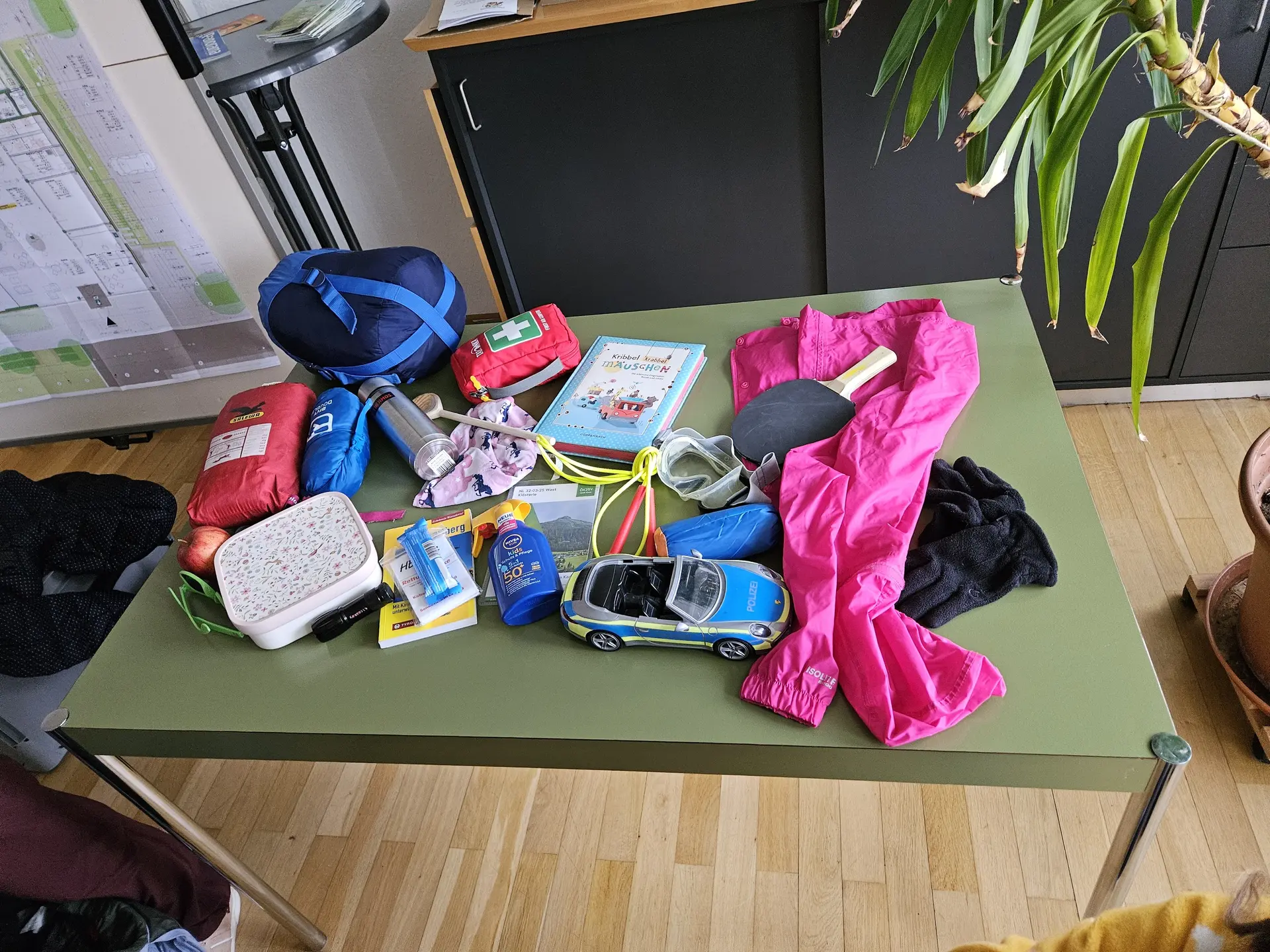 Auf einem grünen Tisch liegen verschiedene Gegenstände wie pinke Hose, Spielzeugauto, Erste-Hilfe-Set, Bücher und weitere persönliche Utensilien | © DAV-FN / A. Schababerle
