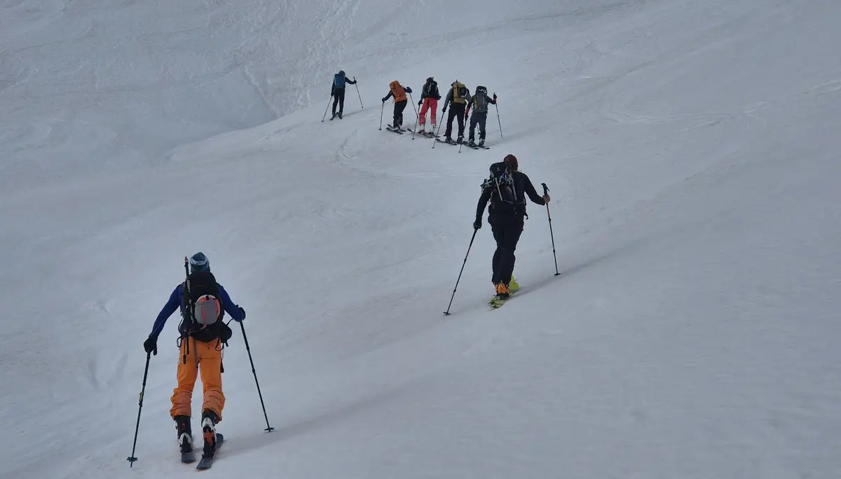 Gruppe von Skitourengehern steigt auf schneebedecktem Hang auf | © DAV-FN / R. Lebedeff