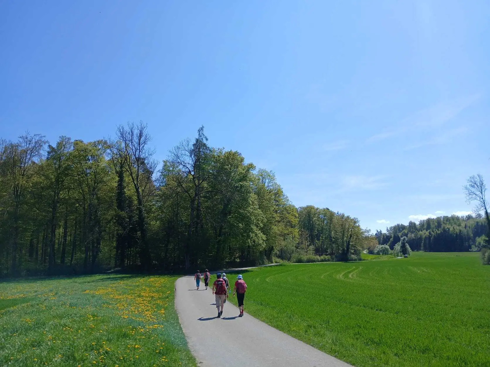 Drei Personen mit Rucksäcken gehen auf einem Weg durch eine grüne Wiese neben einem Wald unter blauem Himmel | © DAV-FN / A. Welte