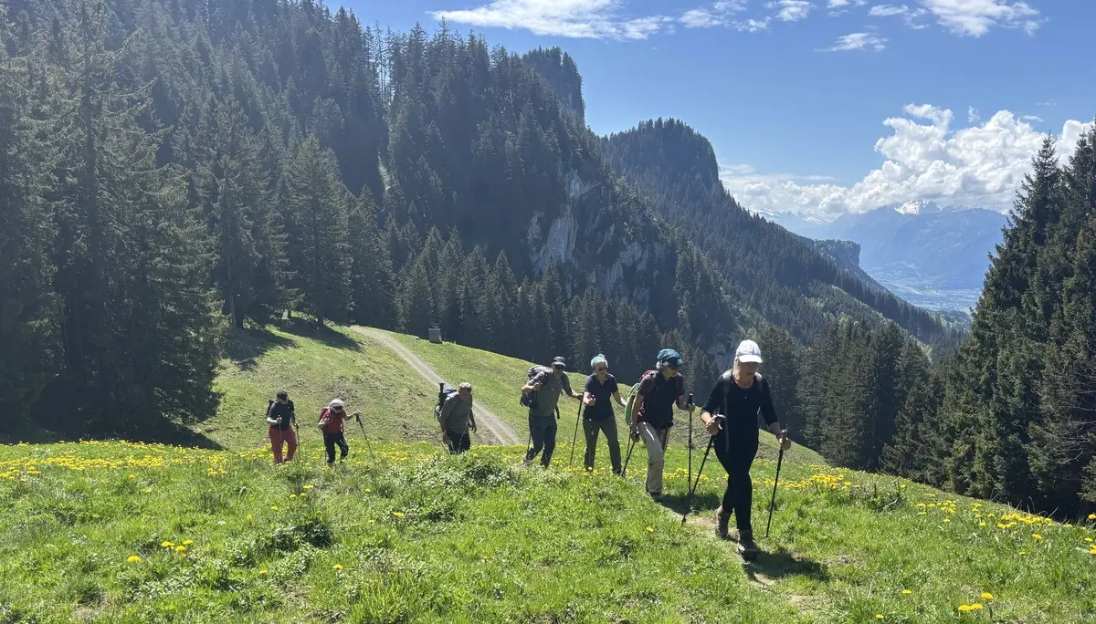 Gruppe von Wanderern mit Trekkingstöcken auf einem grasbewachsenen Bergweg umgeben von Nadelbäumen und Bergen im Hintergrund | © DAV-FN / A, Schech