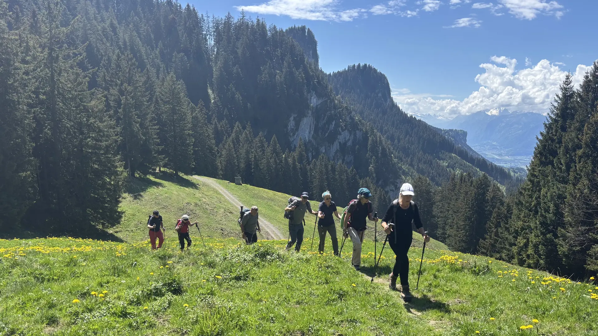 Gruppe von Wanderern mit Trekkingstöcken auf einem grasbewachsenen Bergweg umgeben von Nadelbäumen und Bergen im Hintergrund | © DAV-FN / A, Schech
