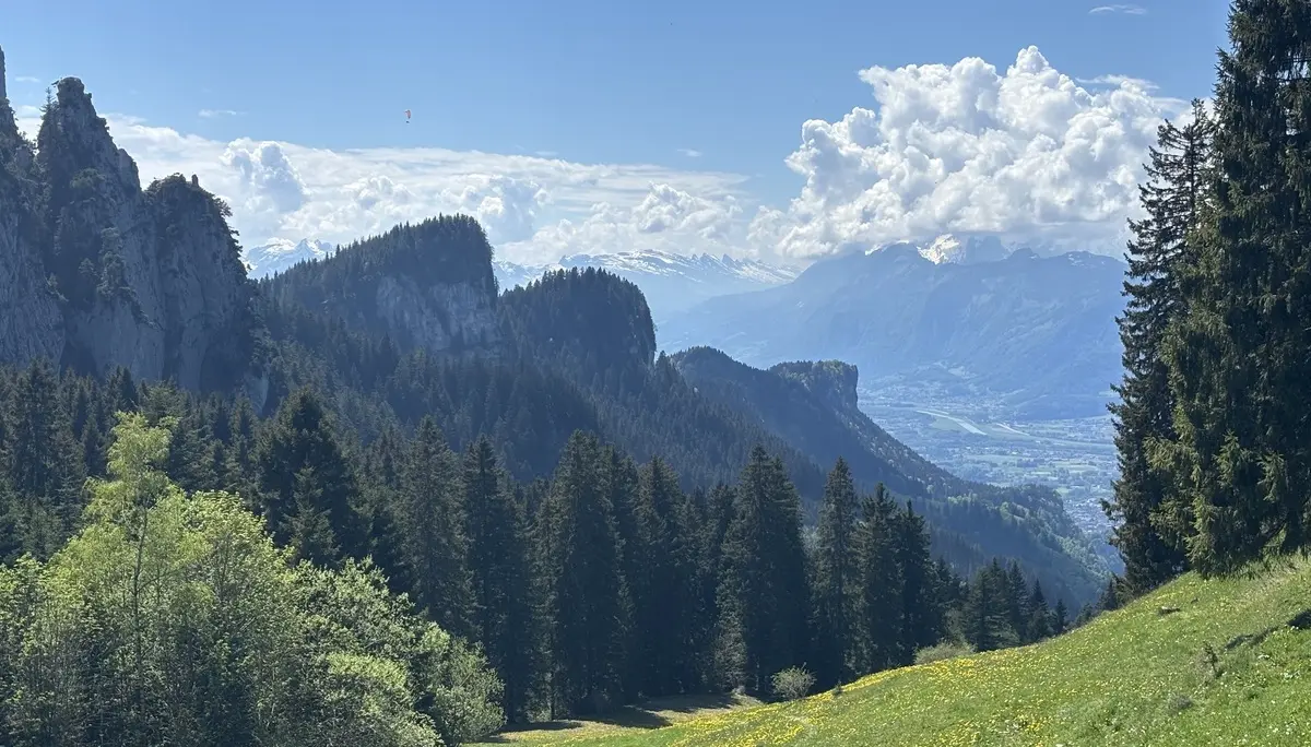 Berglandschaft mit Nadelbäumen im Vordergrund und bewölktem Himmel | © DAV-FN / A, Schech