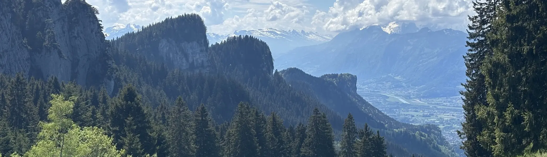 Berglandschaft mit Nadelbäumen im Vordergrund und bewölktem Himmel | © DAV-FN / A, Schech
