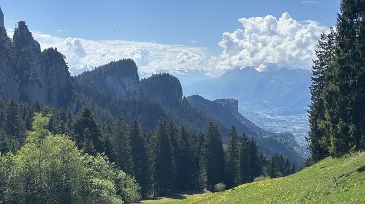 Berglandschaft mit Nadelbäumen im Vordergrund und bewölktem Himmel | © DAV-FN / A, Schech