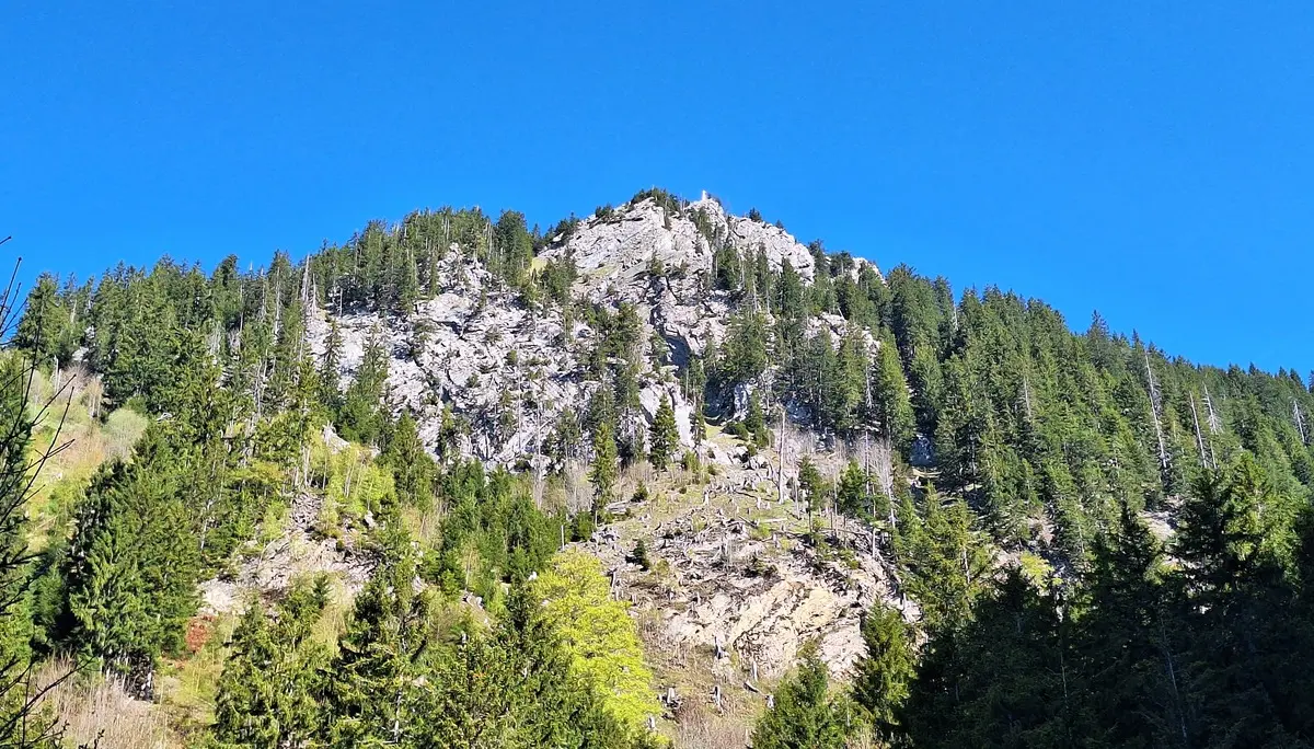Felsiger Berg mit Nadelbäumen unter klarem blauem Himmel | © DAV-FN / R. Huber