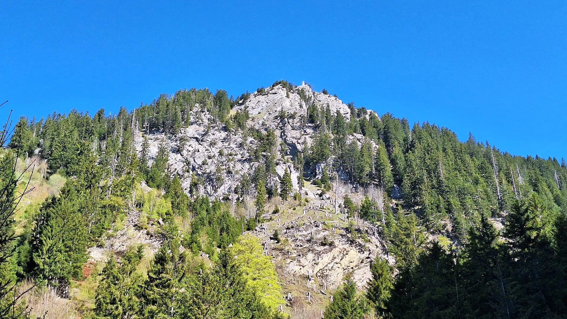 Felsiger Berg mit Nadelbäumen unter klarem blauem Himmel | © DAV-FN / R. Huber