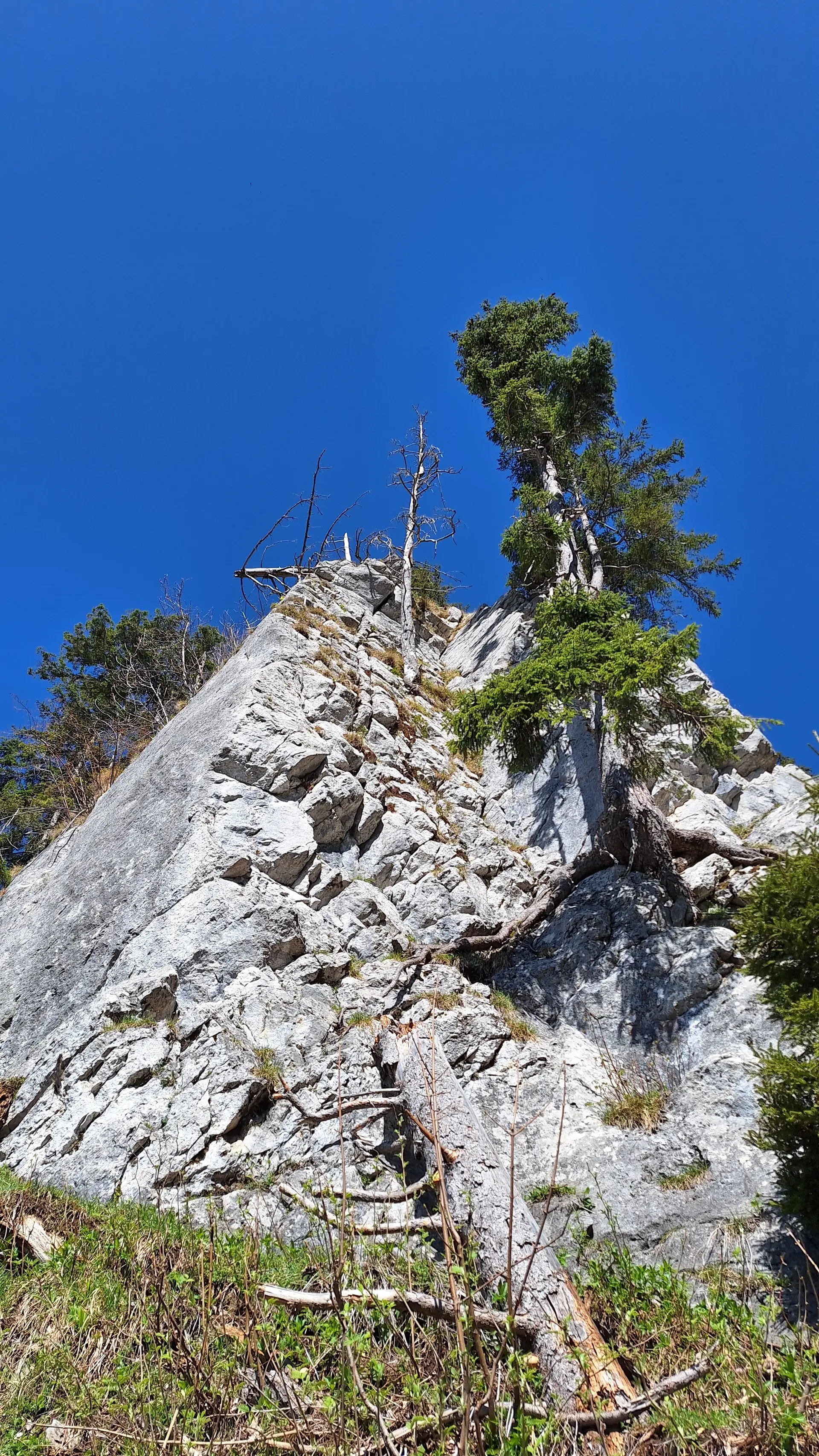 Felswand mit einzelnen Bäumen und blauem Himmel im Hintergrund | © DAV-FN / R. Huber