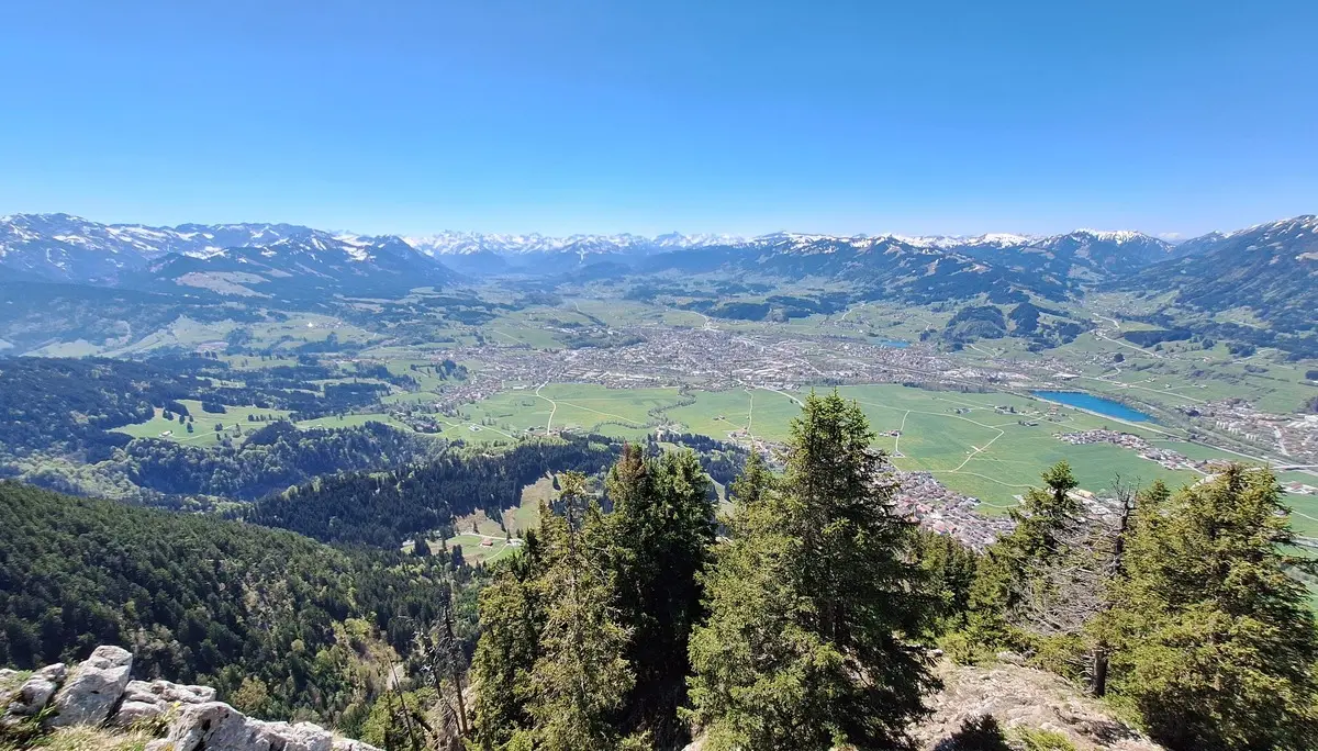 Blick von einem bewaldeten Berghang auf ein Tal mit einer Stadt und dahinter eine Bergkette mit schneebedeckten Gipfeln | © DAV-FN / R. Huber