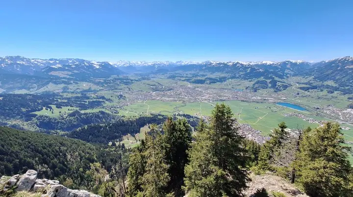 Blick von einem bewaldeten Berghang auf ein Tal mit einer Stadt und dahinter eine Bergkette mit schneebedeckten Gipfeln | © DAV-FN / R. Huber