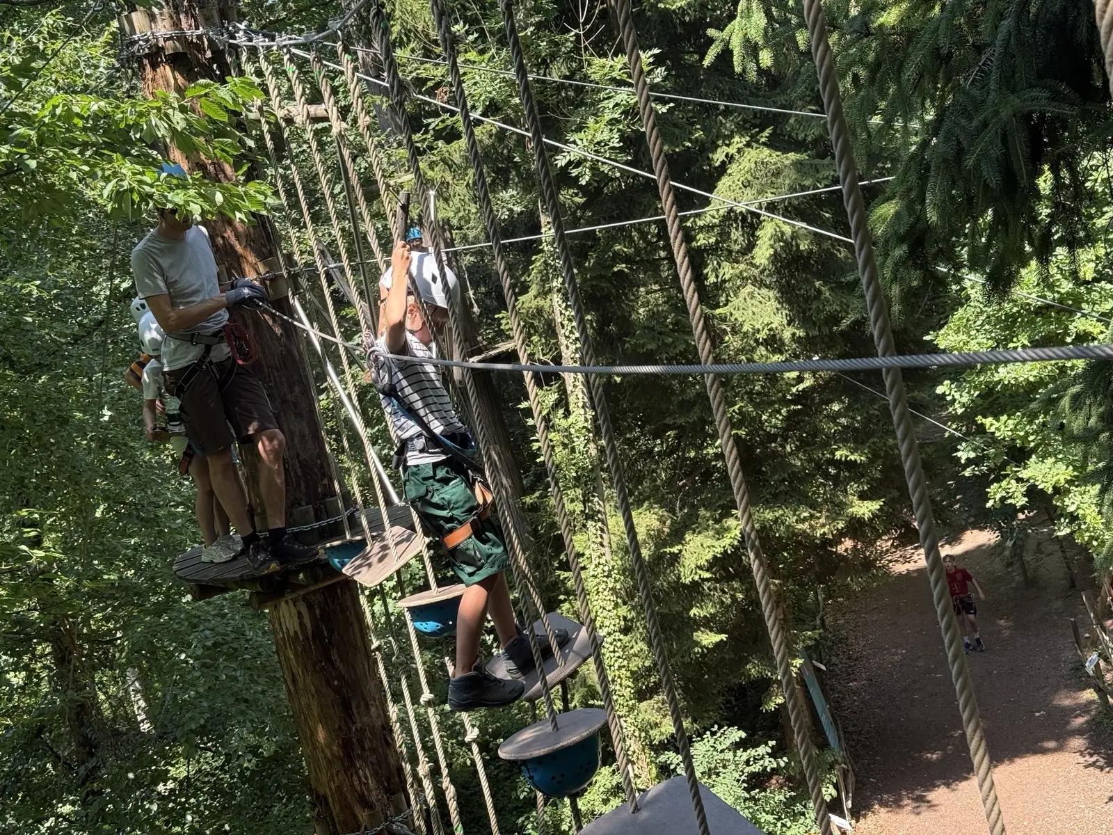 Zwei Personen mit Kletterausrüstung balancieren auf einem Hochseilgarten-Parcours zwischen Bäumen | © DAV-FN / A. Schababerle