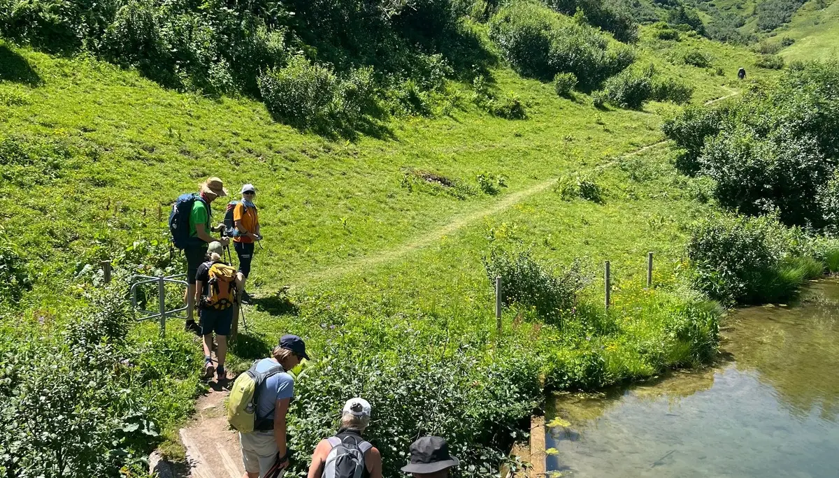 Gruppe von Wanderern mit Rucksäcken überquert einen schmalen Holzsteg über einen Bergbach in einer grünen Berglandschaft | © DAV - FN / N. Böttcher