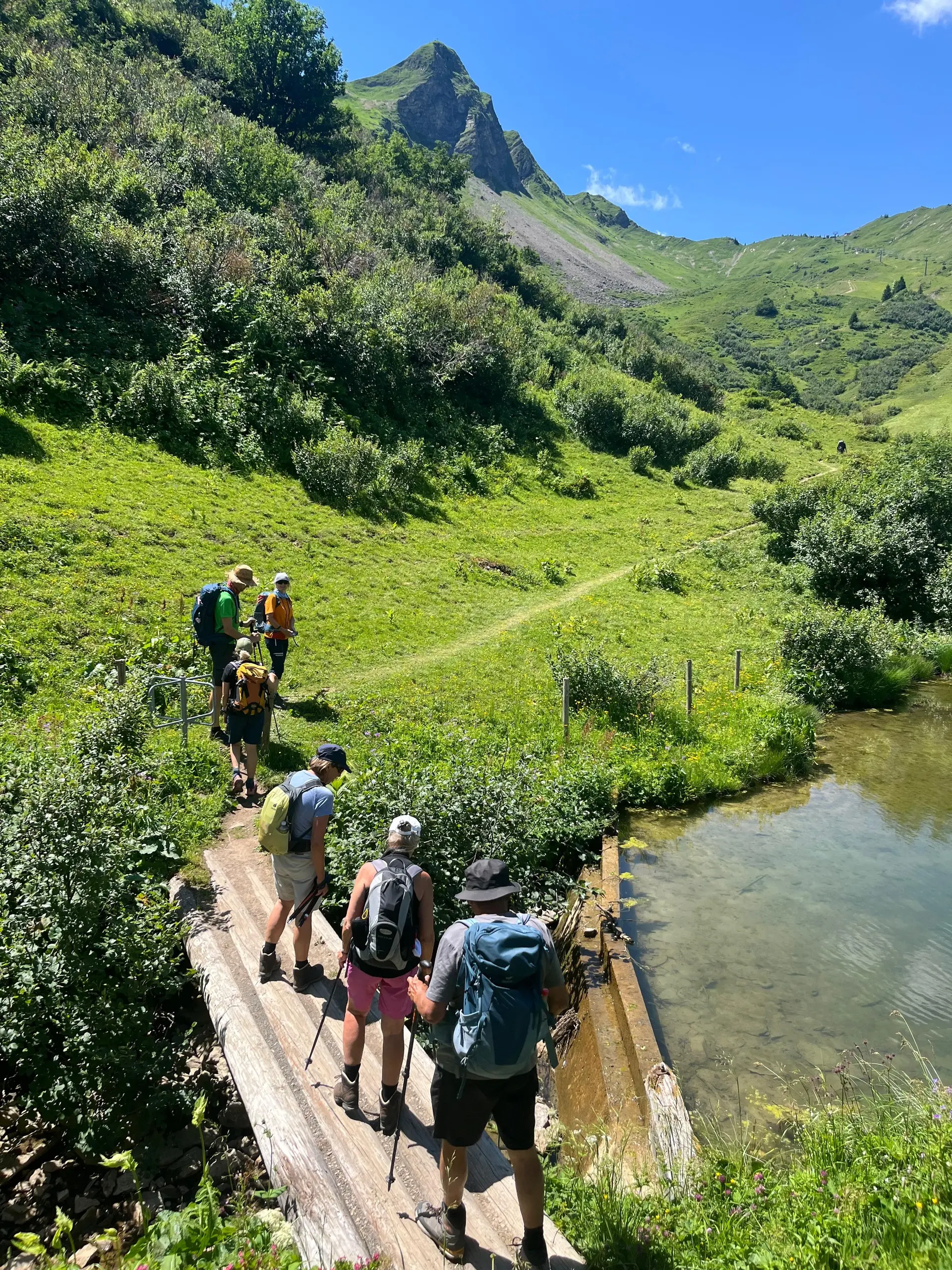 Gruppe von Wanderern mit Rucksäcken überquert einen schmalen Holzsteg über einen Bergbach in einer grünen Berglandschaft | © DAV - FN / N. Böttcher