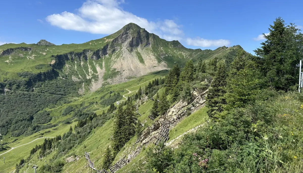 Berglandschaft mit steilem Hang, Nadelbäumen und einem bewachsenen Pfad unter blauem Himmel | © DAV - FN / A. Schech