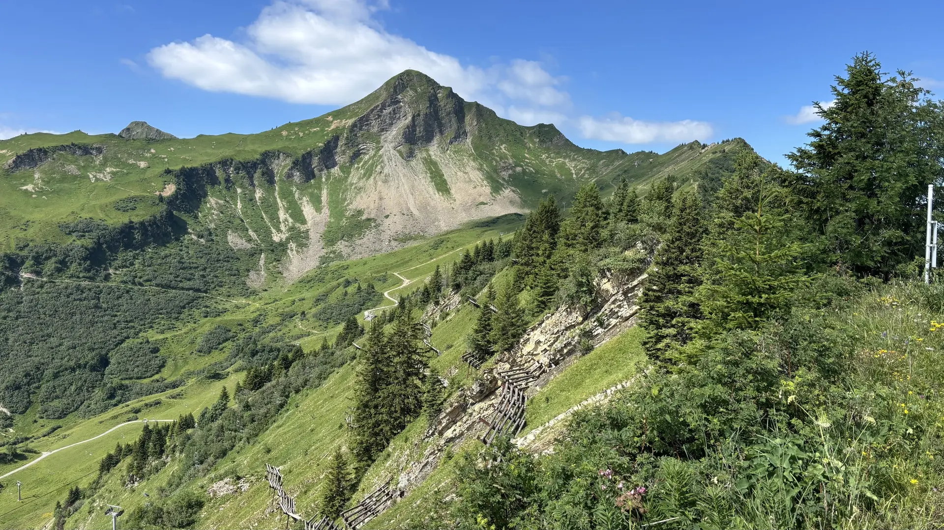 Berglandschaft mit steilem Hang, Nadelbäumen und einem bewachsenen Pfad unter blauem Himmel | © DAV - FN / A. Schech