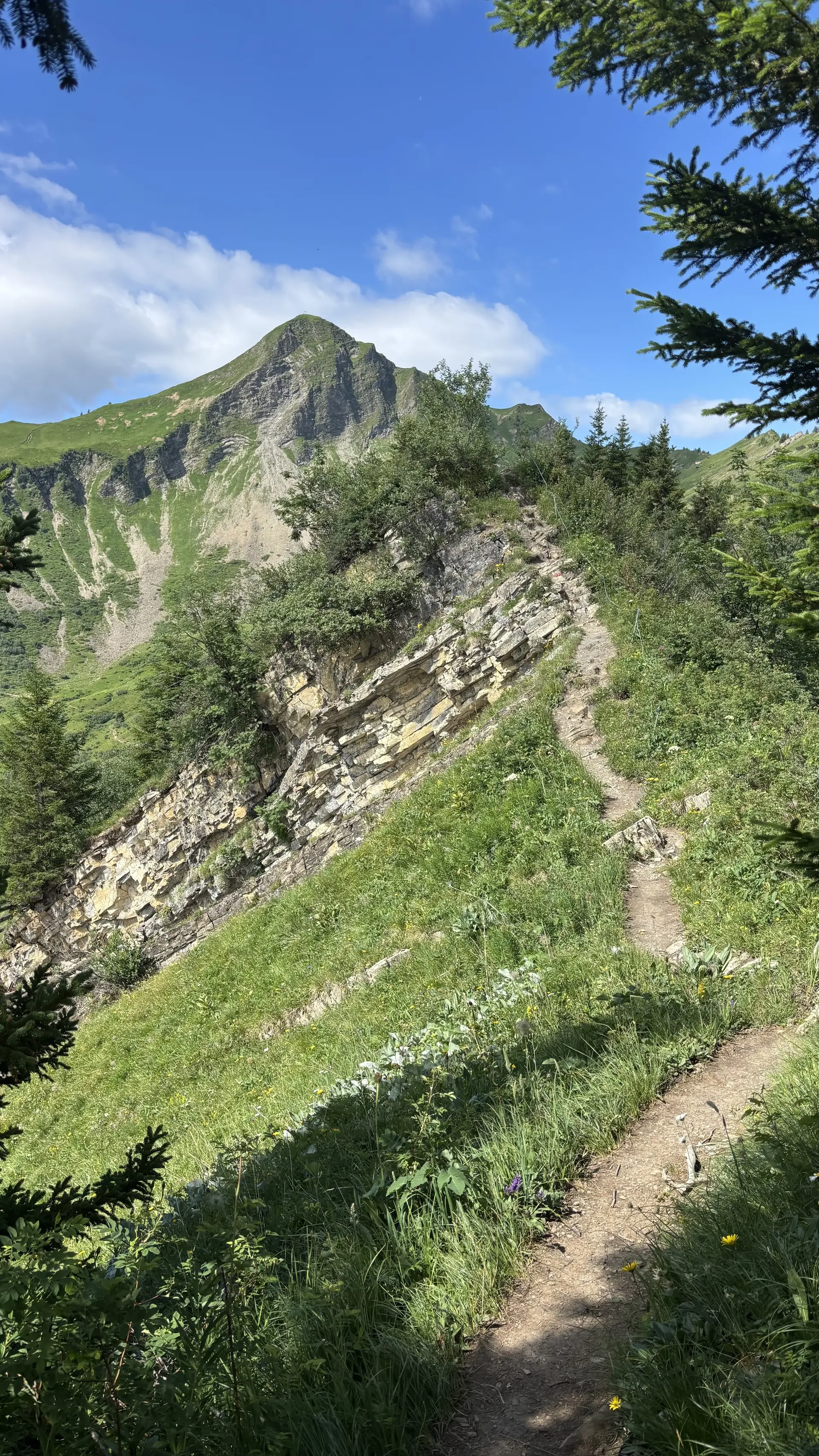 Wanderweg führt durch grüne Berglandschaft mit Nadelbäumen und felsigem Gipfel unter blauem Himmel | © DAV - FN / A. Schech
