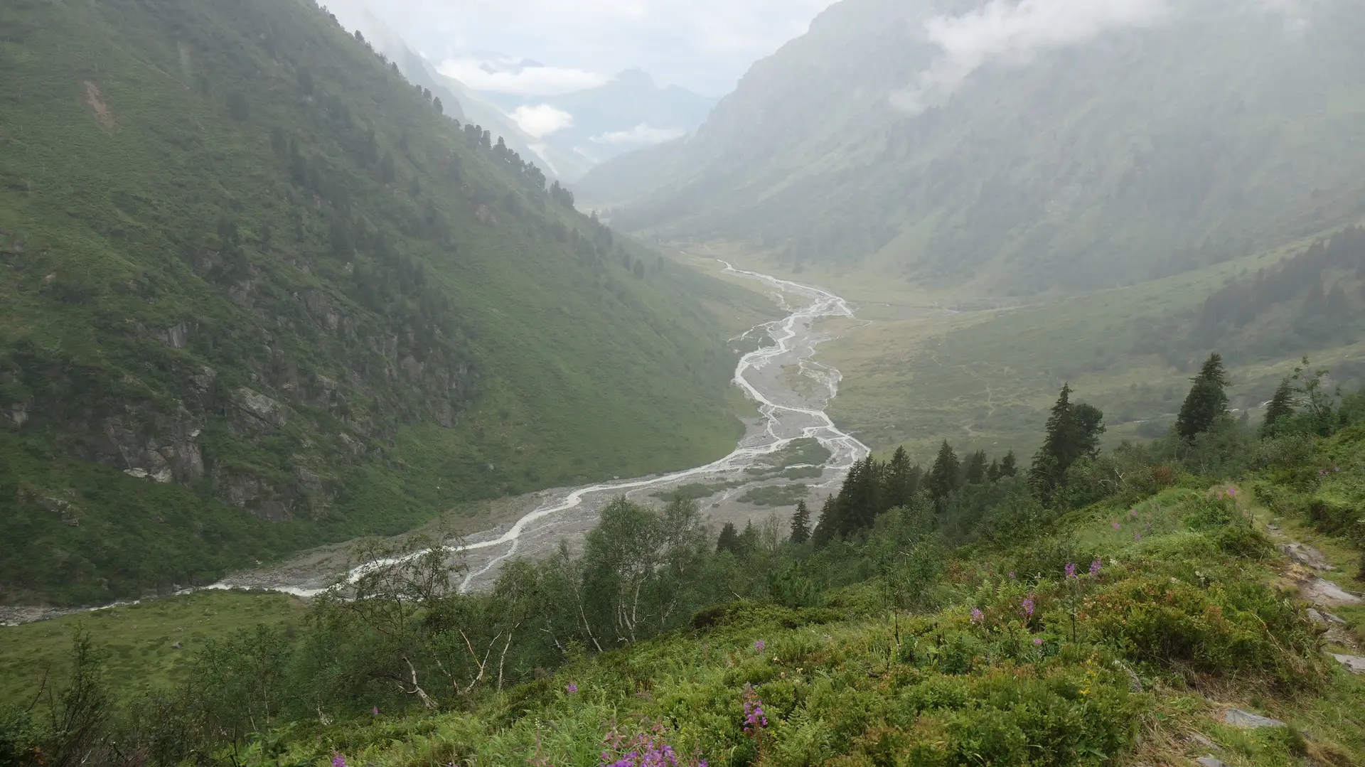 Bergtal mit grün bewachsenen Hängen und einem sich schlängelnden Fluss im Nebel | © DAV - FN / S. Dischler