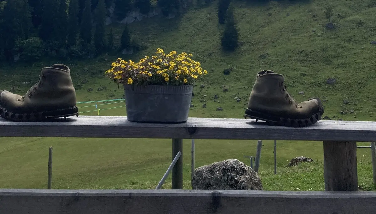 Bergwiese mit Tannen auf einem Hügel unter bewölktem Himmel, im Vordergrund zwei Wanderschuhe und ein Blumentopf auf einem Holzzaun | © DAV-FN / K. Seuster