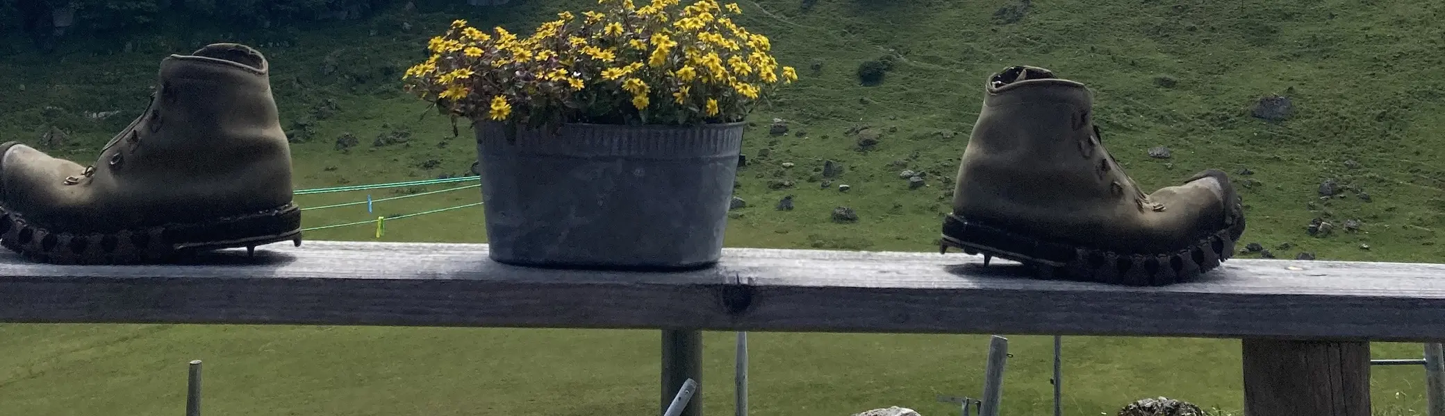 Bergwiese mit Tannen auf einem Hügel unter bewölktem Himmel, im Vordergrund zwei Wanderschuhe und ein Blumentopf auf einem Holzzaun | © DAV-FN / K. Seuster