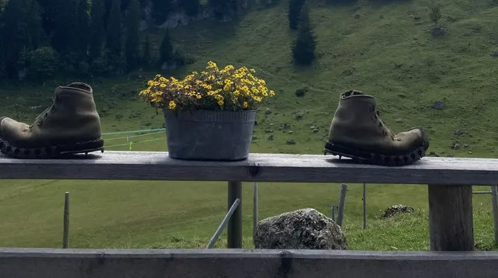 Bergwiese mit Tannen auf einem Hügel unter bewölktem Himmel, im Vordergrund zwei Wanderschuhe und ein Blumentopf auf einem Holzzaun | © DAV-FN / K. Seuster