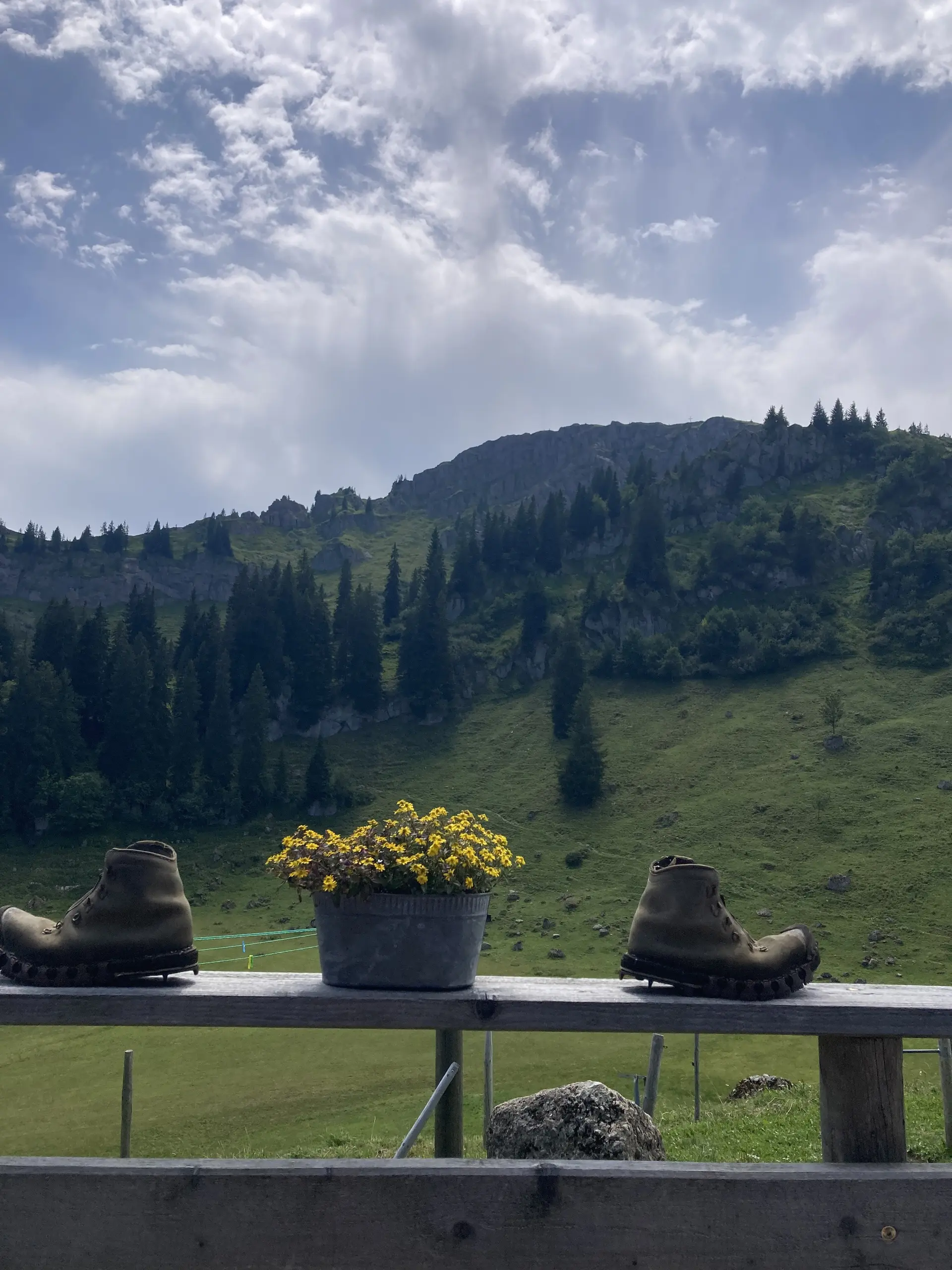 Bergwiese mit Tannen auf einem Hügel unter bewölktem Himmel, im Vordergrund zwei Wanderschuhe und ein Blumentopf auf einem Holzzaun | © DAV-FN / K. Seuster