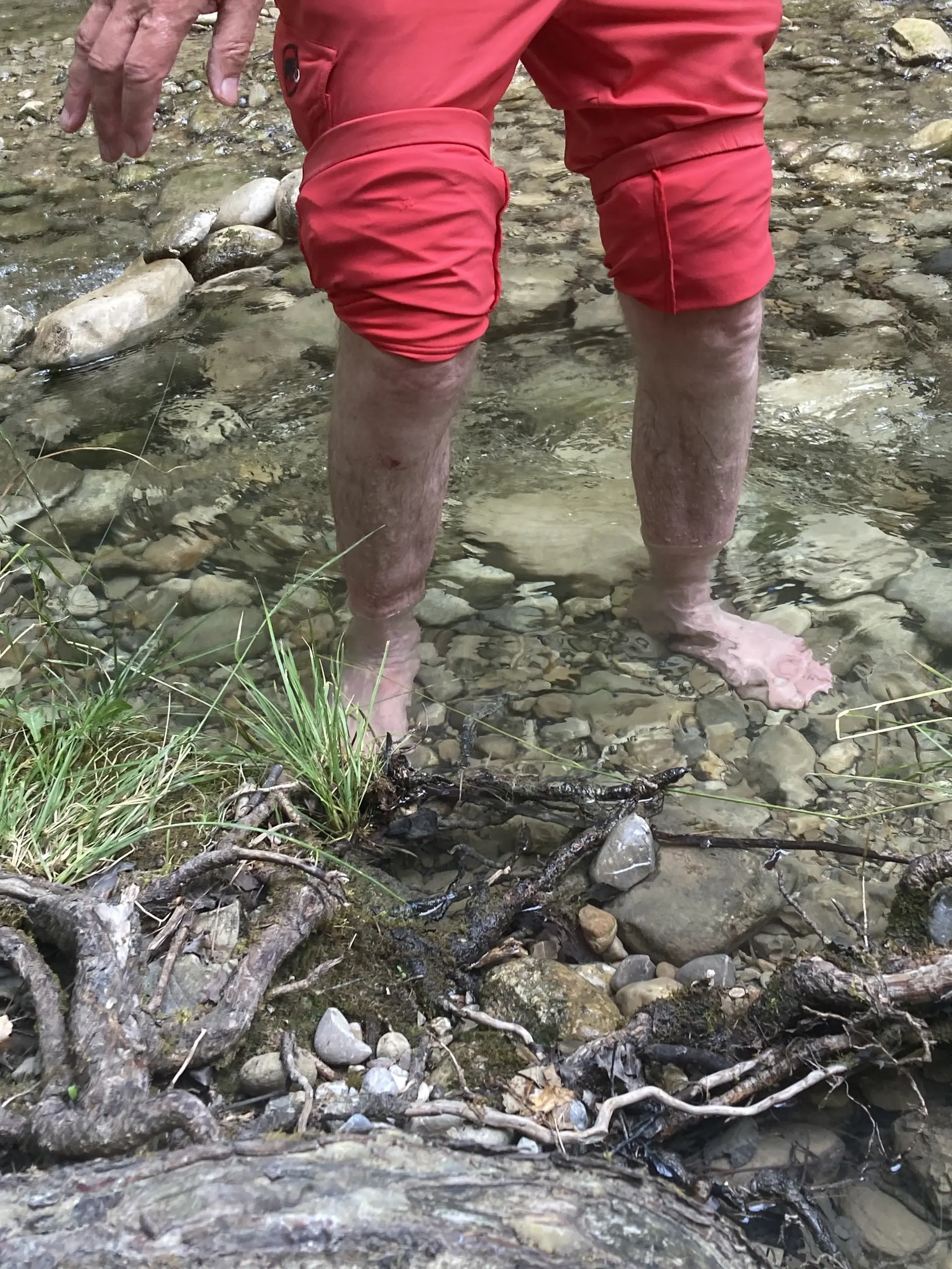 Beine einer Person in hochgekrempelter roter Hose stehen barfuß im flachen, klaren Bachwasser mit Steinen und Wurzeln | © DAV-FN / K. Seuster
