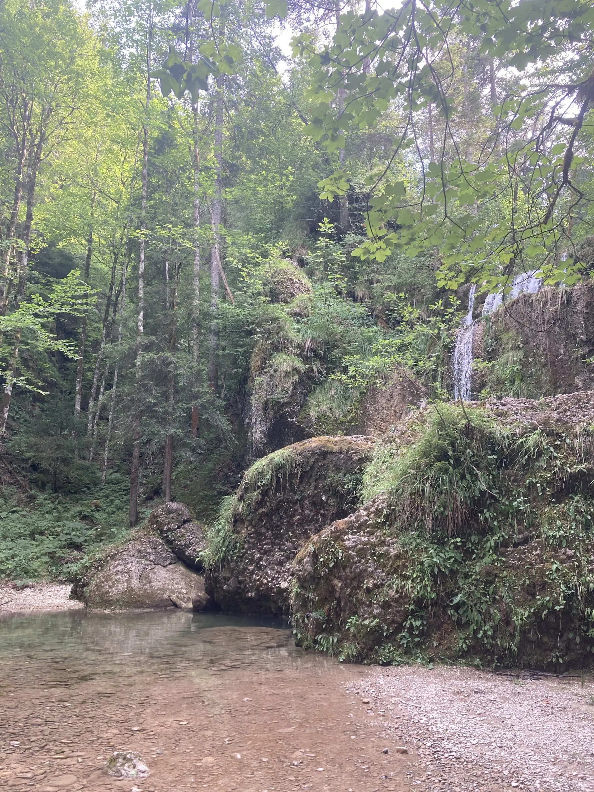 Flacher Bachlauf mit Kiesufer, umgeben von bewaldeten Felsen und einem kleinen Wasserfall | © DAV-FN / K. Seuster