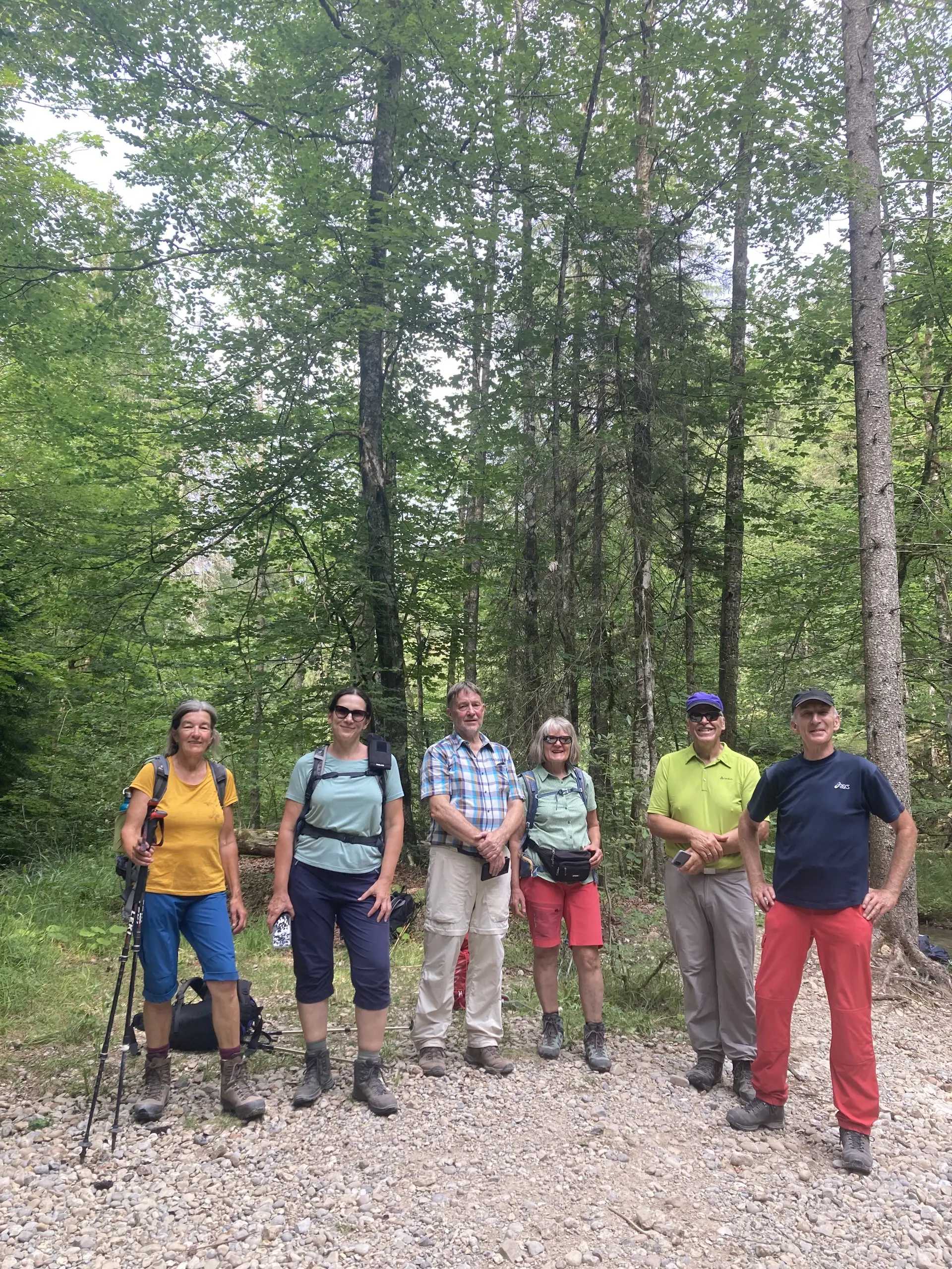 Sechs Personen in Wanderkleidung stehen auf einem Waldweg vor hohen Bäumen | © DAV-FN / K. Seuster