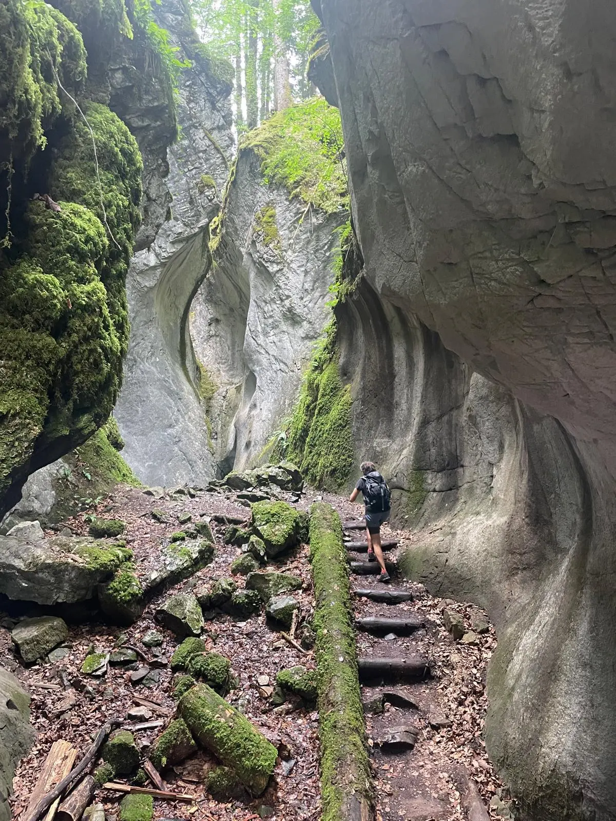 Wanderer mit Rucksack auf schmalem Pfad zwischen hohen, moosbewachsenen Felswänden in einer Schlucht | © DAV - FN / K. Seuster