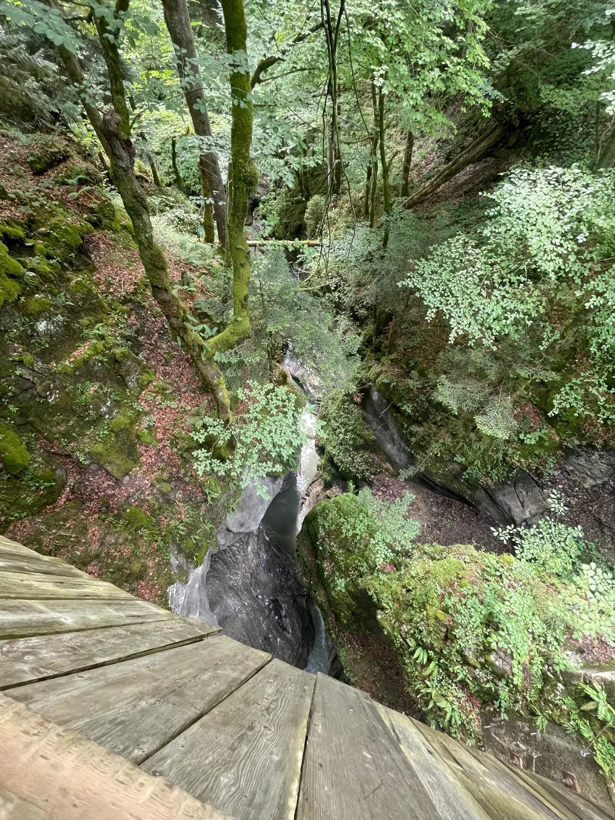 Blick von einer Holzbrücke auf eine bewachsene Schlucht mit Felsen und Bäumen | © DAV - FN / K. Seuster