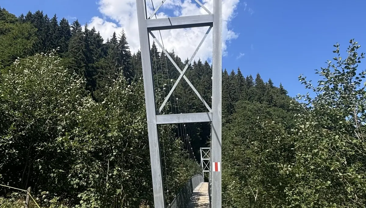 Seilbrückenturm mit Stahlkonstruktion über einem Pfad in einer grünen Landschaft unter blauem Himmel | © DAV - FN / A. Schech