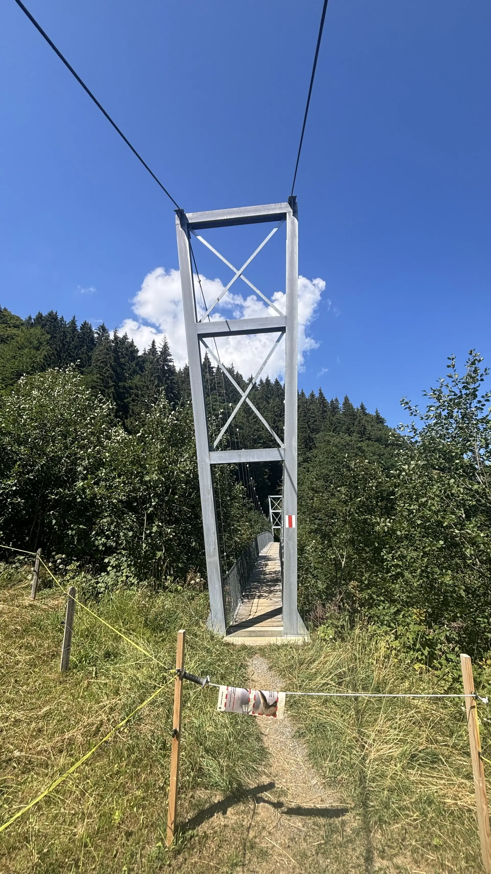 Seilbrückenturm mit Stahlkonstruktion über einem Pfad in einer grünen Landschaft unter blauem Himmel | © DAV - FN / A. Schech