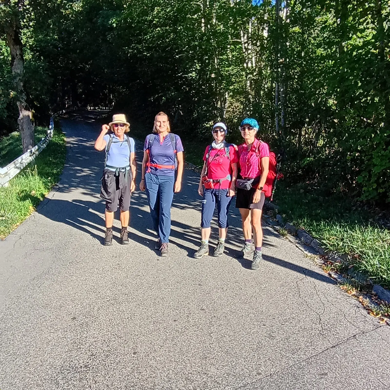 Vier Frauen mit Wanderkleidung und Rucksäcken gehen auf einem sonnigen Weg mit Bäumen im Hintergrund | © DAV - FN / C. Bauer