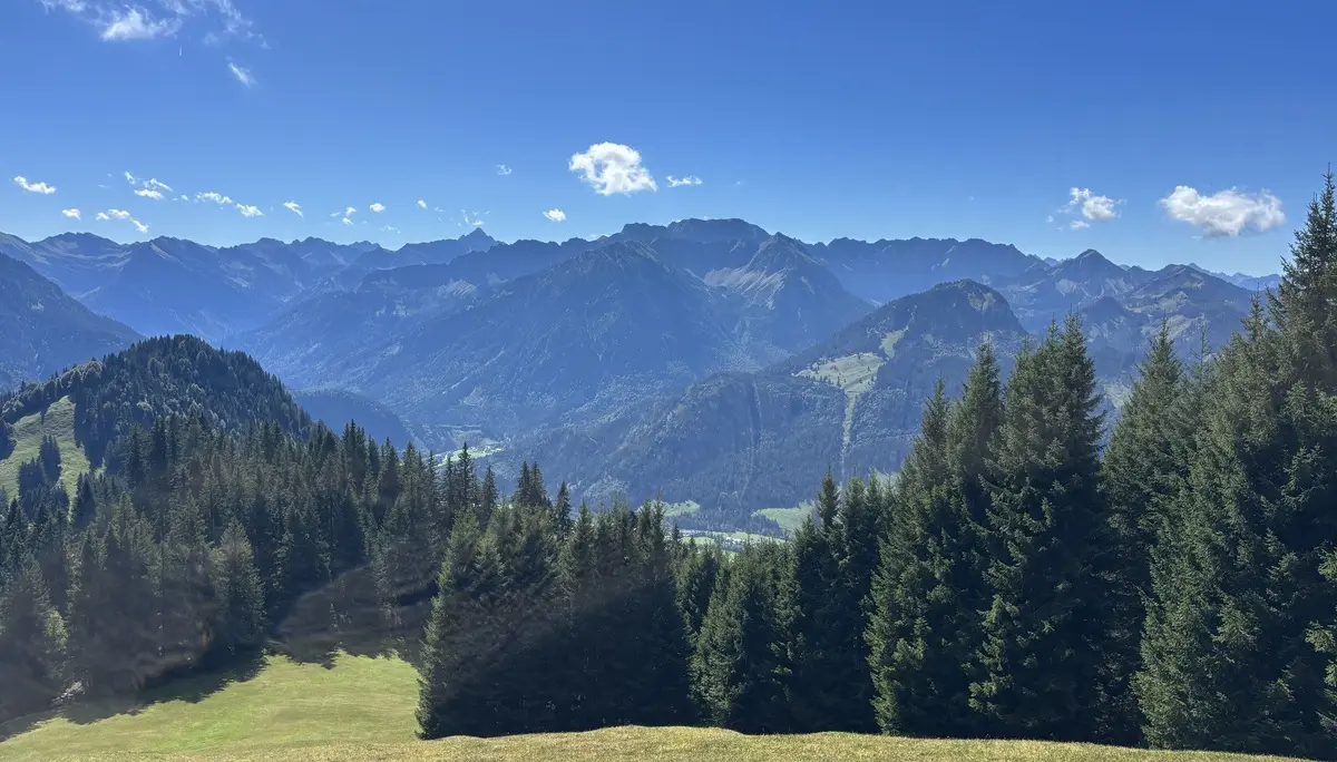 Berglandschaft mit Nadelbäumen im Vordergrund und bewaldeten Bergen unter blauem Himmel mit einzelnen Wolken | © DAV - FN / A. Schech