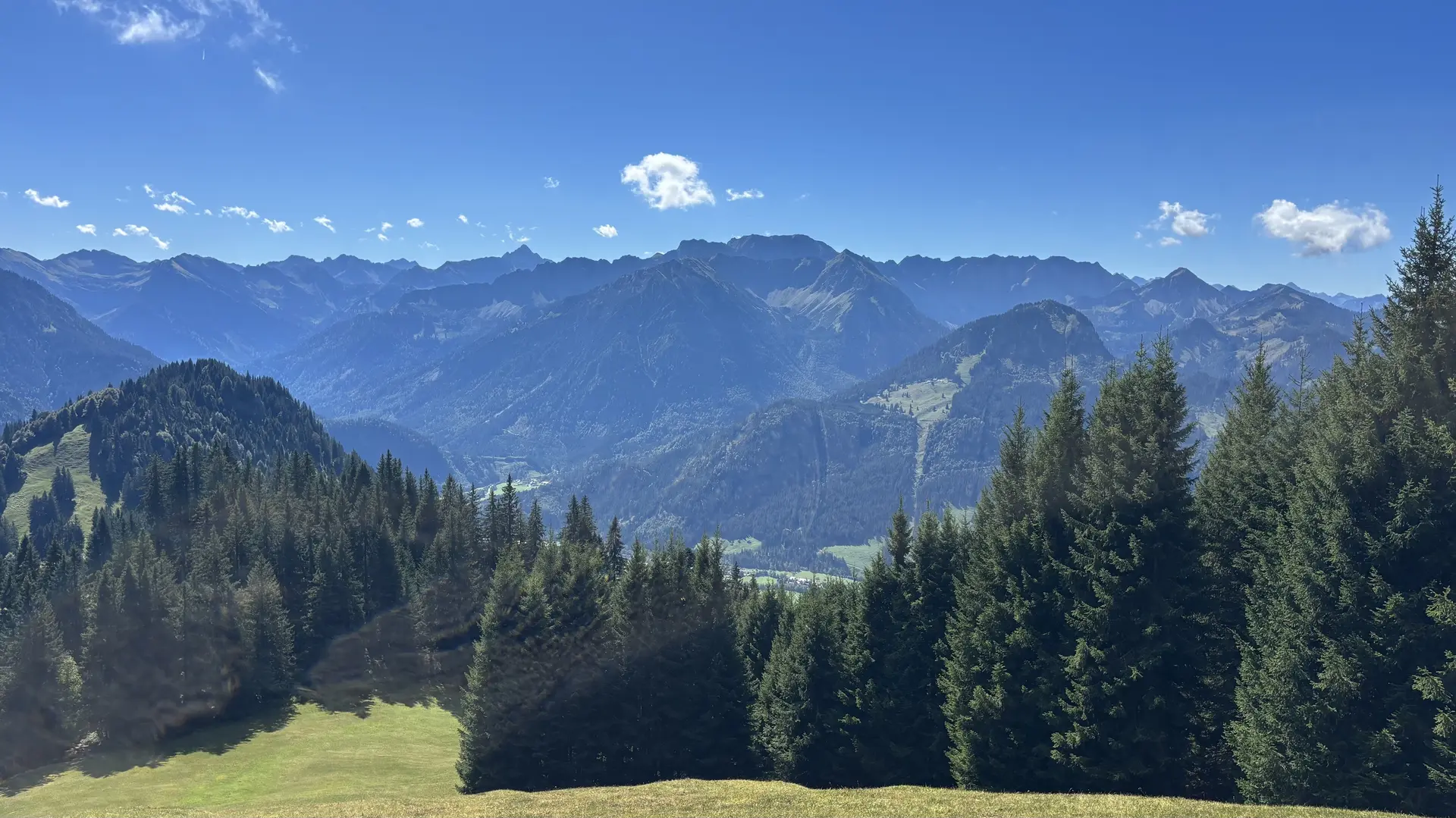 Berglandschaft mit Nadelbäumen im Vordergrund und bewaldeten Bergen unter blauem Himmel mit einzelnen Wolken | © DAV - FN / A. Schech