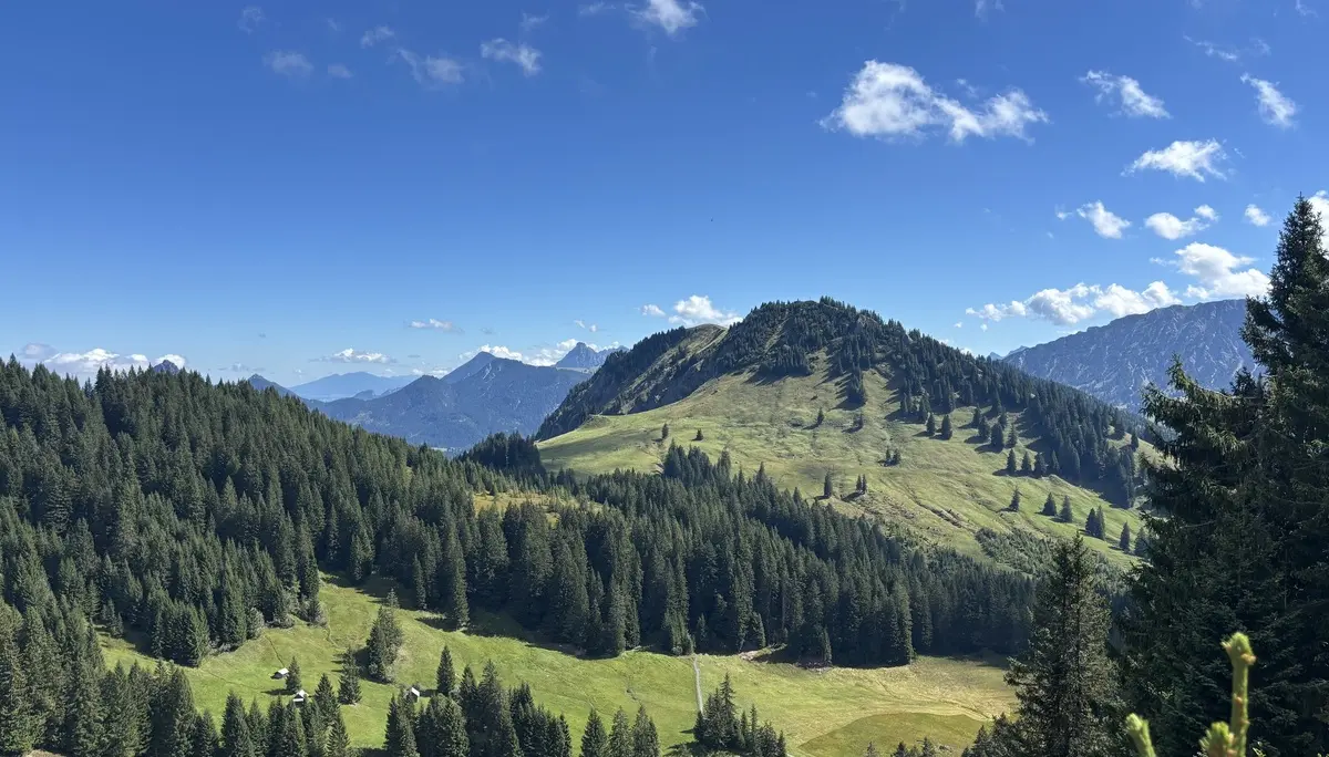 Grüne Berglandschaft mit Nadelbäumen unter blauem Himmel mit vereinzelten Wolken | © DAV - FN / A. Schech