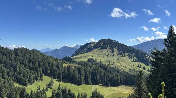 Grüne Berglandschaft mit Nadelbäumen unter blauem Himmel mit vereinzelten Wolken | © DAV - FN / A. Schech