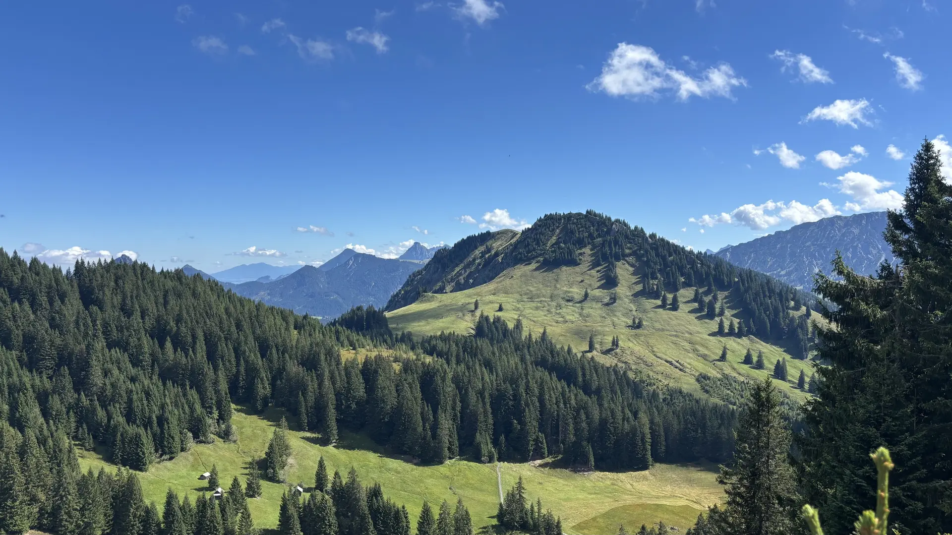 Grüne Berglandschaft mit Nadelbäumen unter blauem Himmel mit vereinzelten Wolken | © DAV - FN / A. Schech