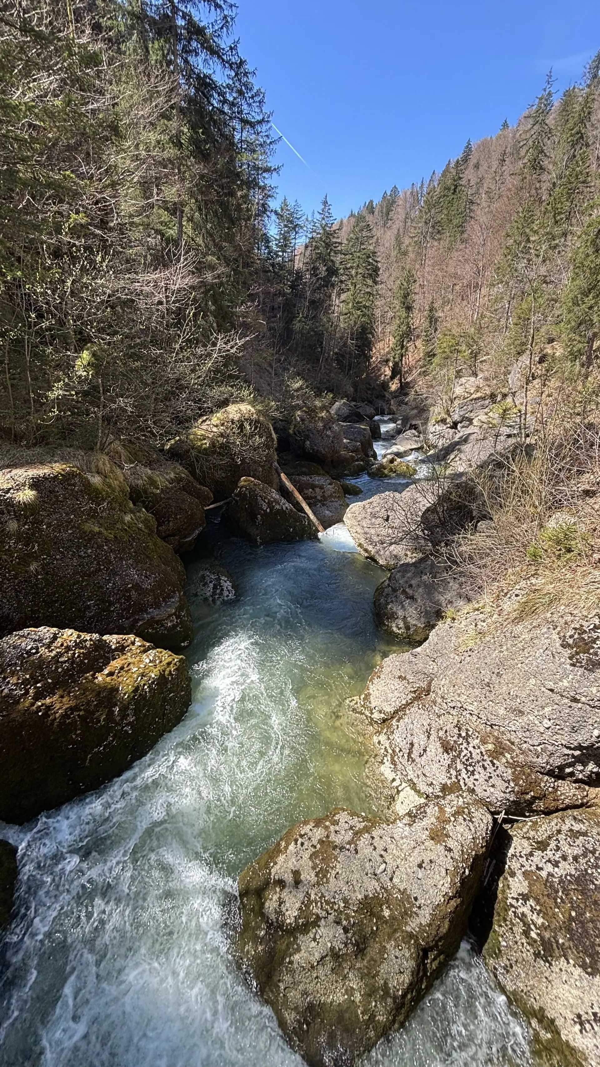 Bergbach mit fließendem Wasser zwischen großen Felsen und bewaldeten Hängen unter blauem Himmel | © DAV-FN / A. Schech