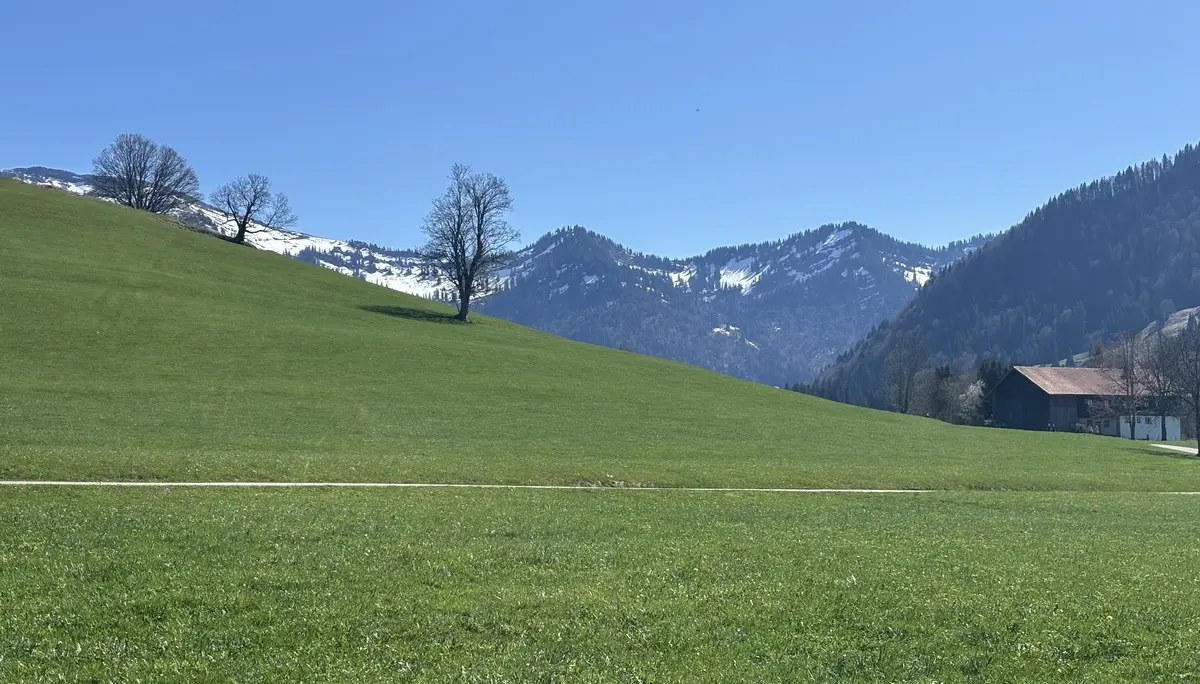 Grüne Wiese mit einzelnen Bäumen vor bewaldeten Bergen unter blauem Himmel | © DAV-FN / A. Schech