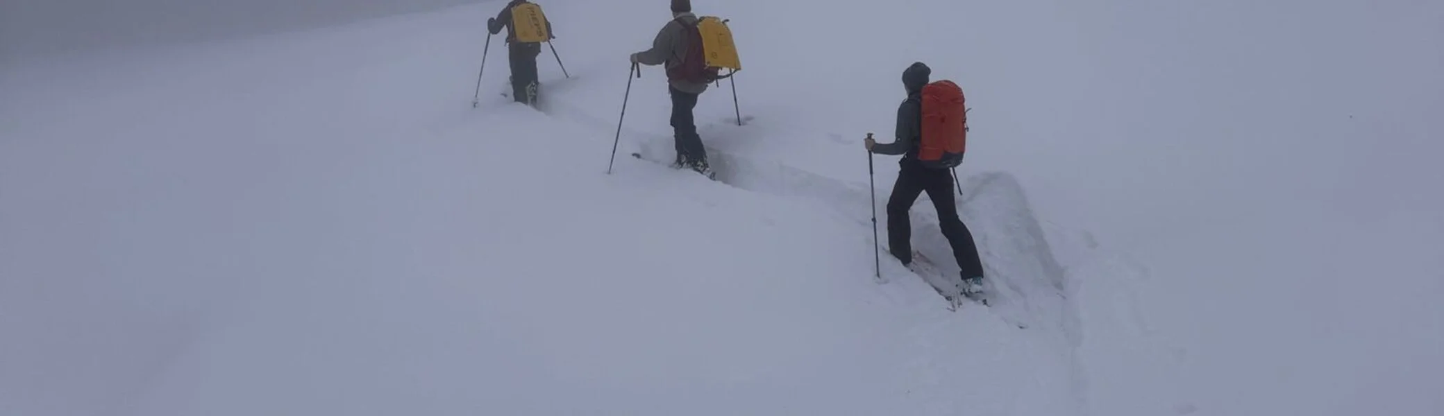 Drei Skitourengeher mit Rucksäcken und Skistöcken steigen in nebliger Winterlandschaft einen schneebedeckten Hang hinauf | © DAV-FN / Th. Gläser