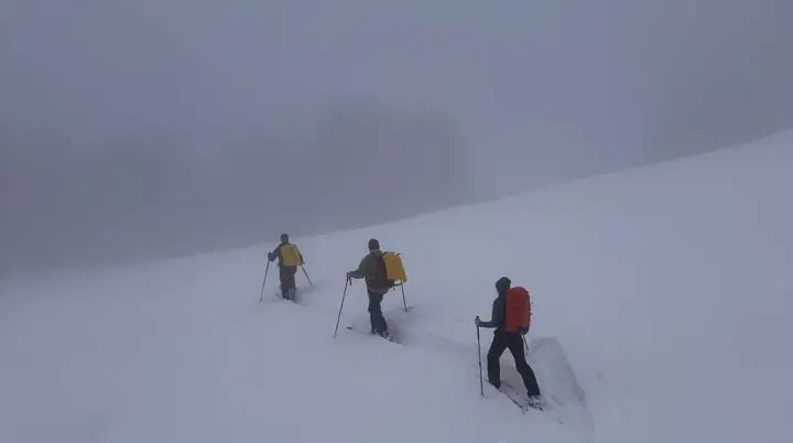 Drei Skitourengeher mit Rucksäcken und Skistöcken steigen in nebliger Winterlandschaft einen schneebedeckten Hang hinauf | © DAV-FN / Th. Gläser