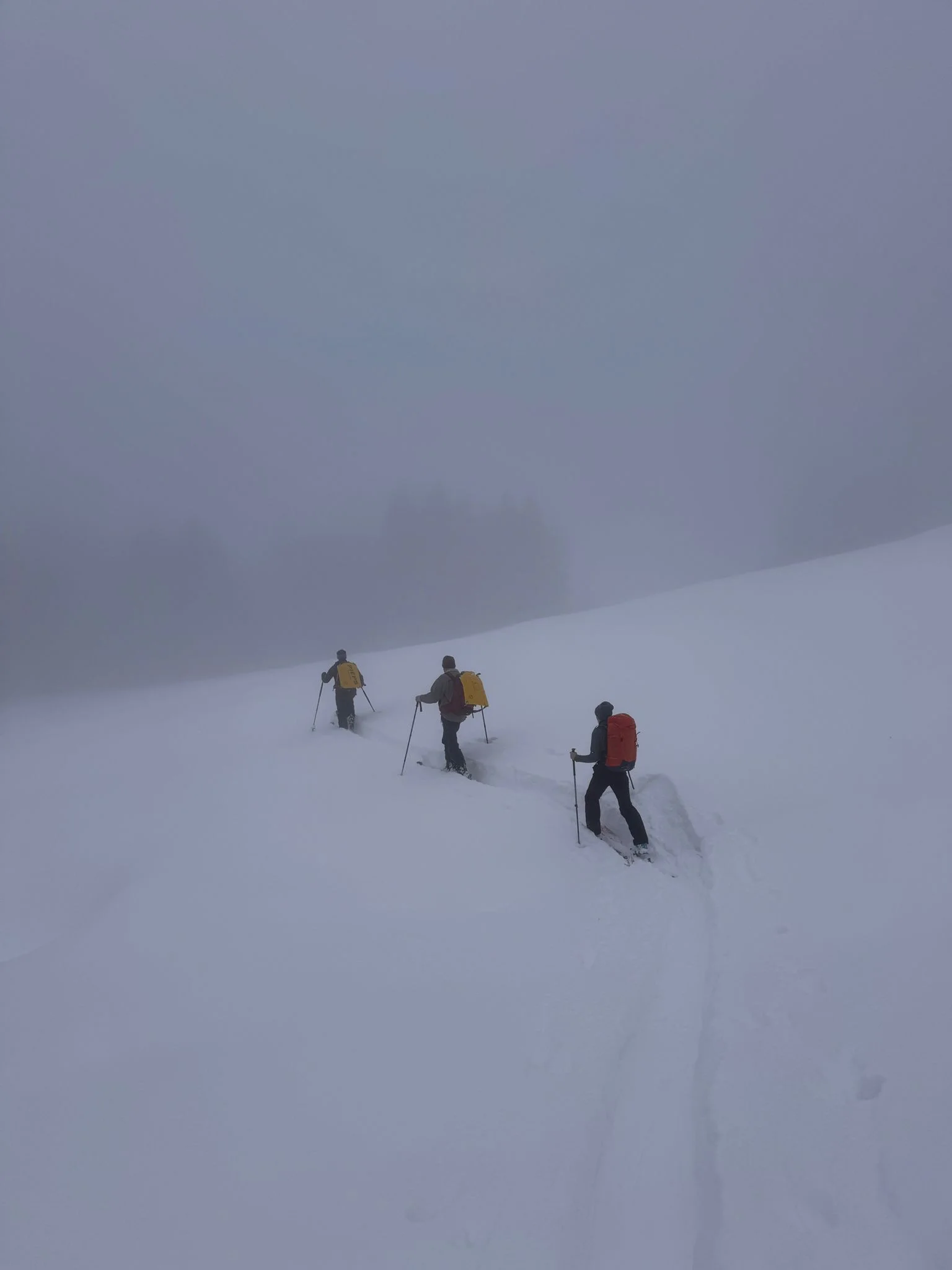 Drei Skitourengeher mit Rucksäcken und Skistöcken steigen in nebliger Winterlandschaft einen schneebedeckten Hang hinauf | © DAV-FN / Th. Gläser